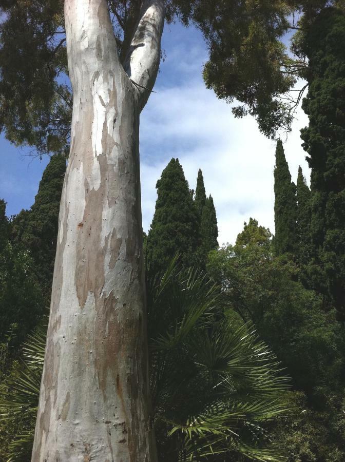 Dormiusa Bordighera Luaran gambar